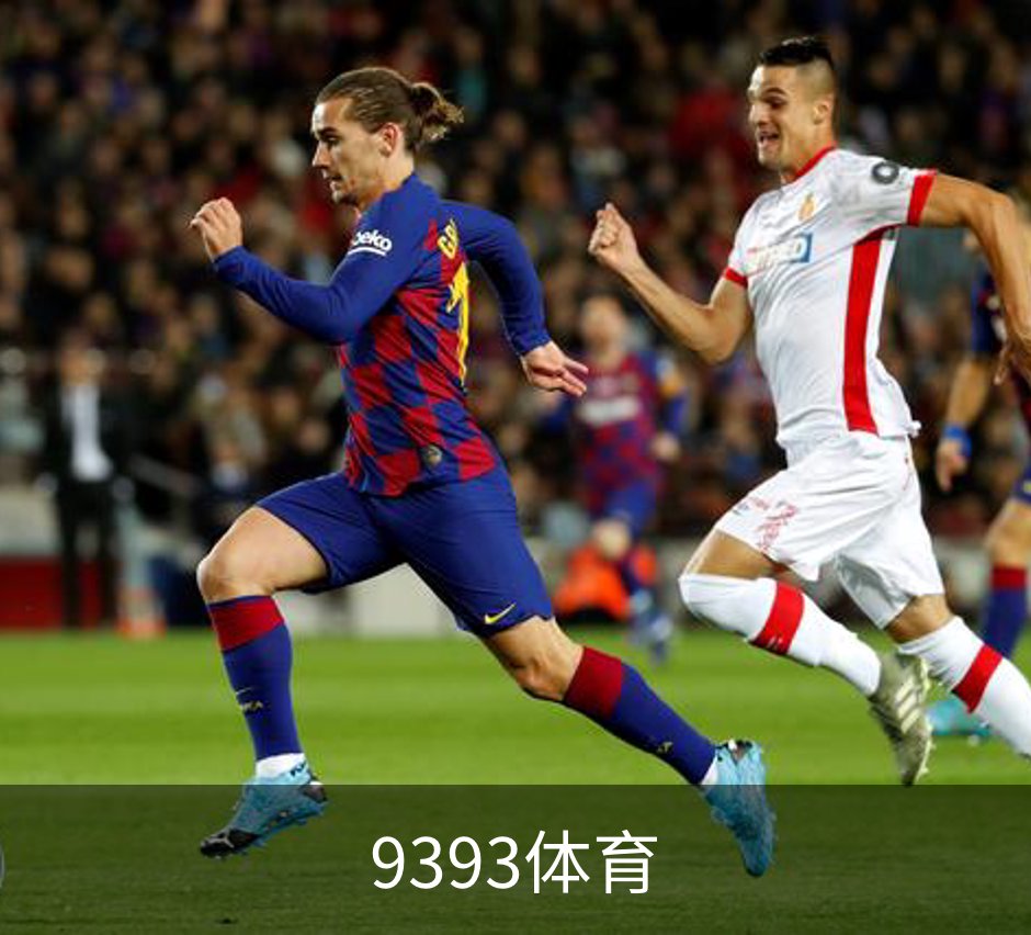 关于9393体育